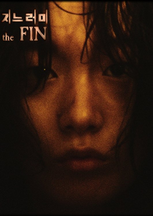 The Fin The Fin
