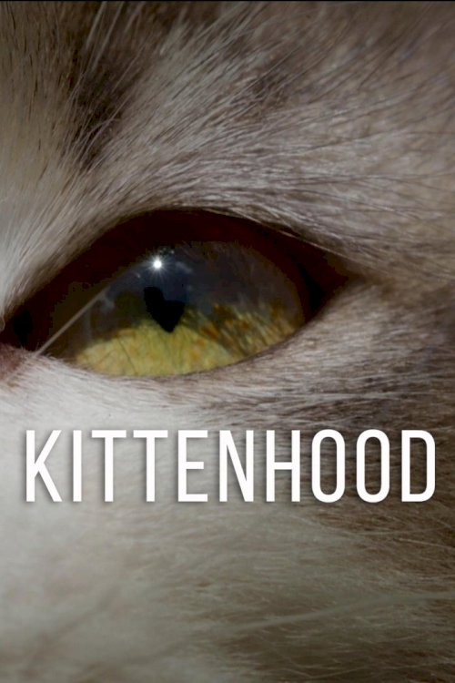 Kittenhood Kittenhood