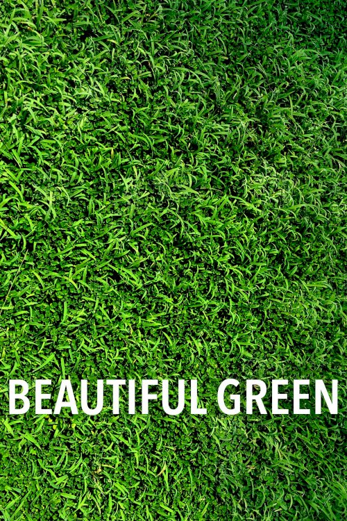 La Belle Verte La Belle Verte