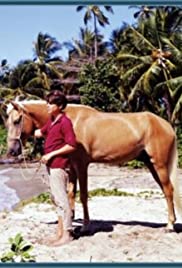 Cristobalito, the Calypso Colt Cristobalito, the Calypso Colt