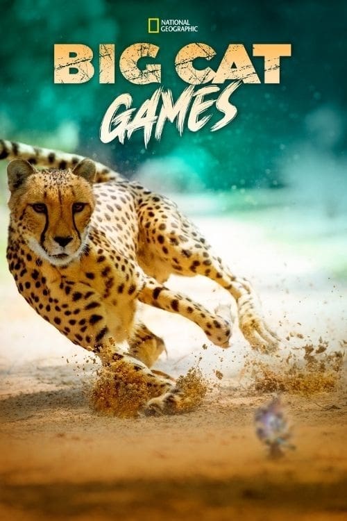 Big Cat Games Big Cat Games