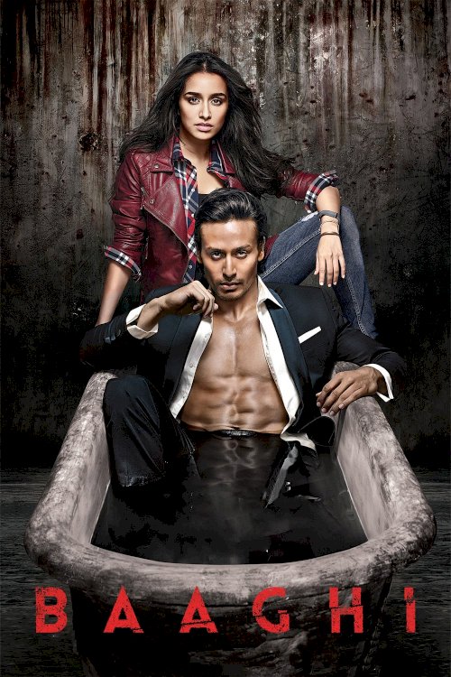 Baaghi Baaghi