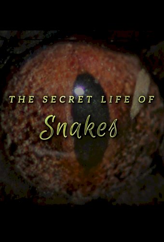 The Secret Life of Snakes The Secret Life of Snakes