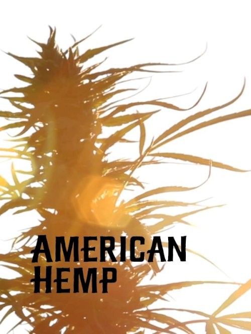 American Hemp American Hemp