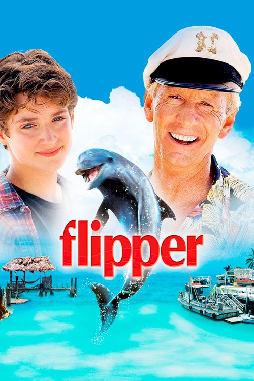 Flipper Flipper