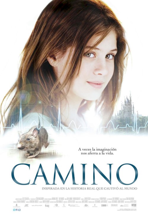 Camino Camino