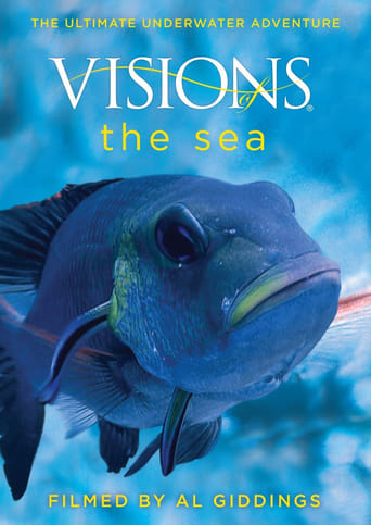 Visions of the Sea Visions of the Sea