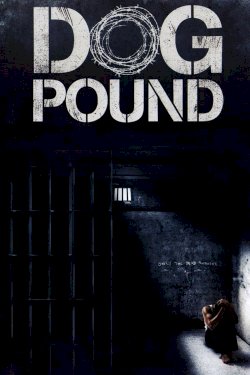 Dog Pound Dog Pound