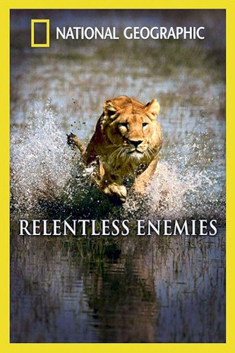 Relentless Enemies: Lions and Buffalo Relentless Enemies: Lions and Buffalo