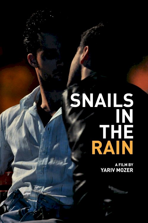 Snails in the Rain Snails in the Rain