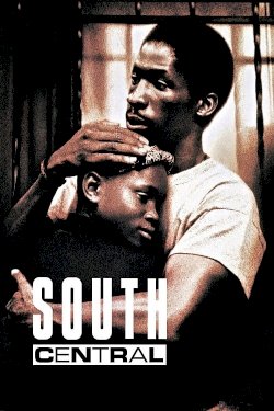 South Central South Central
