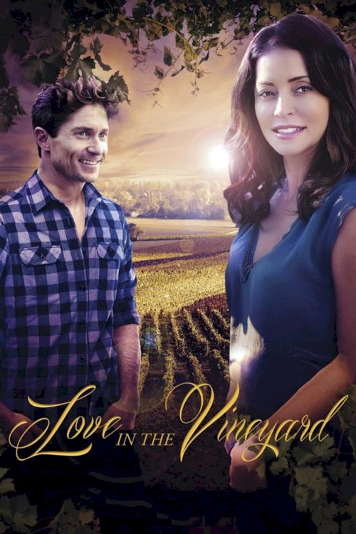 Love in the Vineyard Love in the Vineyard