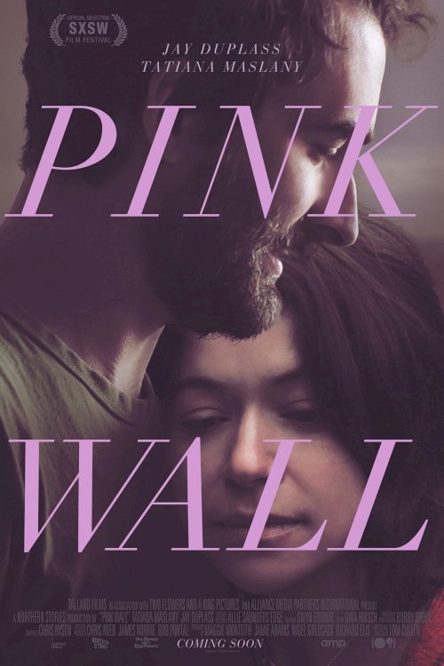 Pink Wall Pink Wall