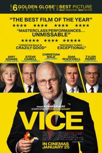 Vice Vice