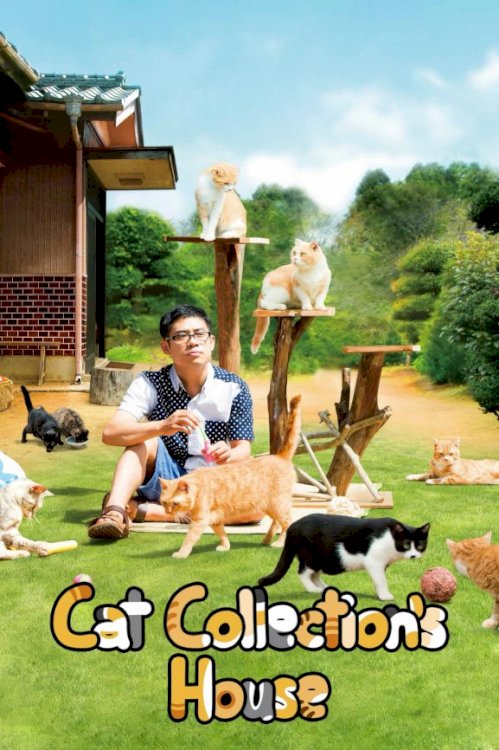 Neko Atsume House Neko Atsume House