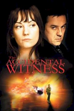 The Accidental Witness The Accidental Witness