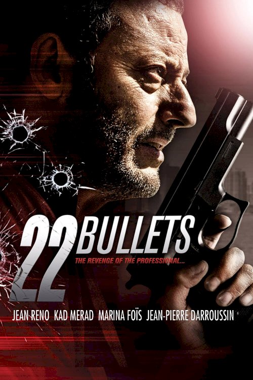 22 Bullets 22 Bullets