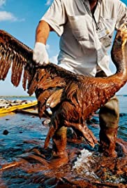 Can the Gulf Survive?