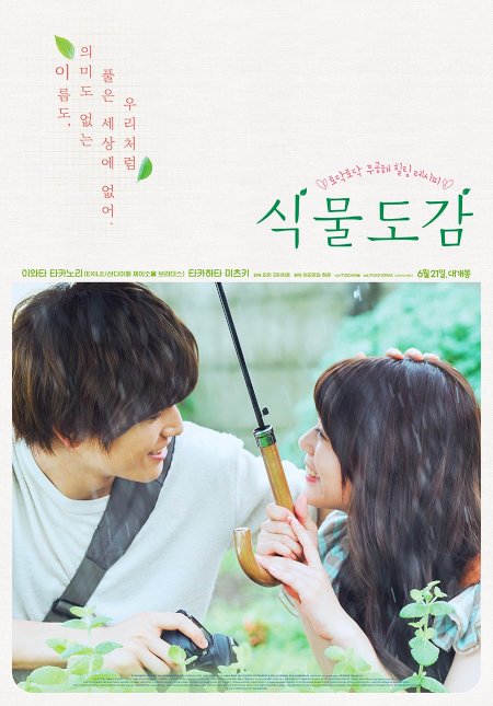 Evergreen Love