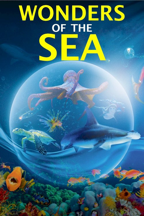 Wonders of the Sea 3D Wonders of the Sea 3D