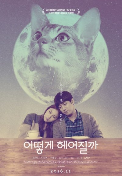 How to Break up with My Cat How to Break up with My Cat