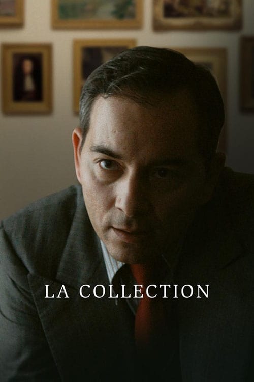 The Collection The Collection