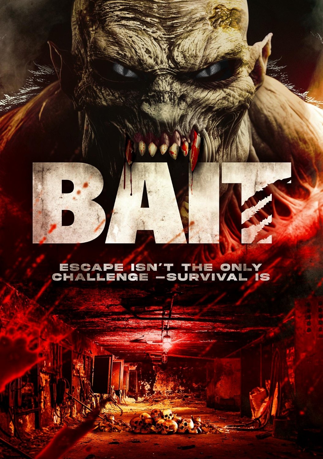 Bait Bait