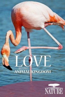 Nature: Love in the Animal Kingdom Nature: Love in the Animal Kingdom