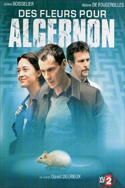 Des fleurs pour Algernon Des fleurs pour Algernon