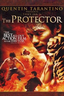 The Protector The Protector