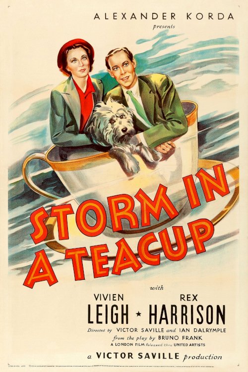 Storm in a Teacup Storm in a Teacup