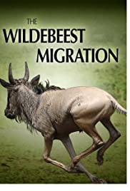 The Wildebeest Migration: Nature's Greatest Journey The Wildebeest Migration: Nature's Greatest Journey