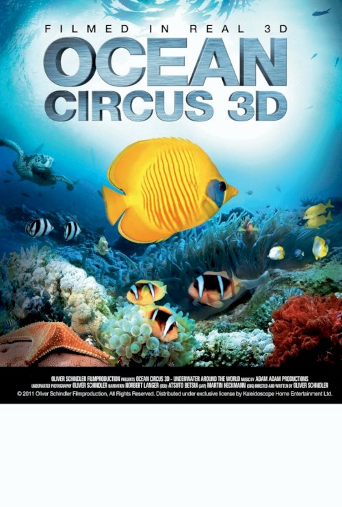 Ocean Circus 3D - Underwater Around the World Ocean Circus 3D - Underwater Around the World