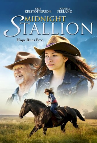 Midnight Stallion Midnight Stallion