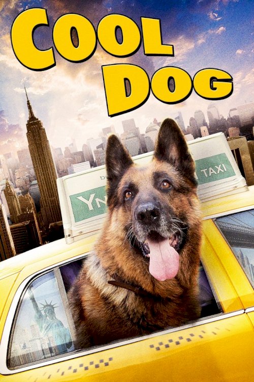 Cool Dog Cool Dog