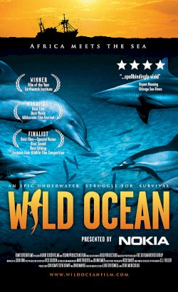 Wild Ocean Wild Ocean