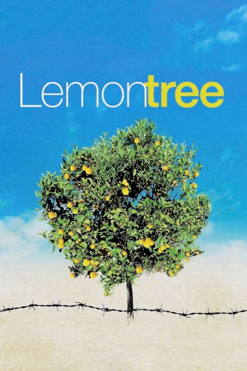 Lemon Tree Lemon Tree