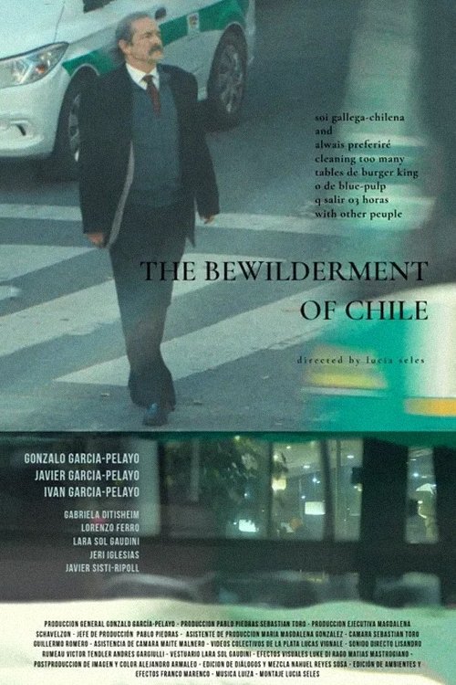 the bewilderment of chile the bewilderment of chile