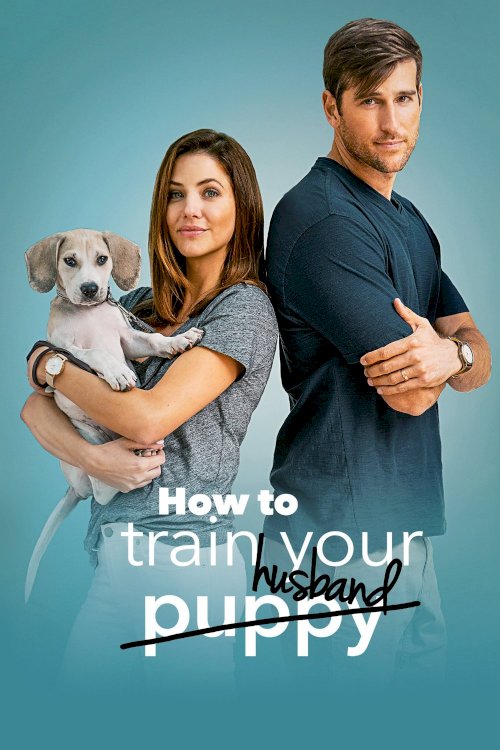 How to Train Your Husband How to Train Your Husband