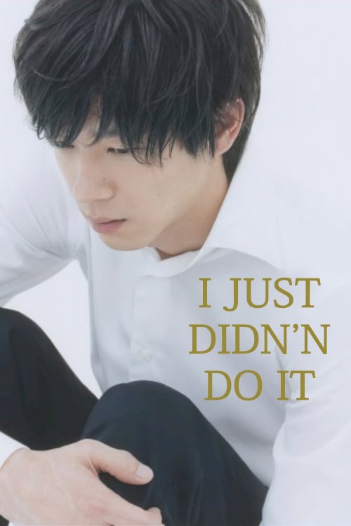 I Just Didn't Do It I Just Didn't Do It