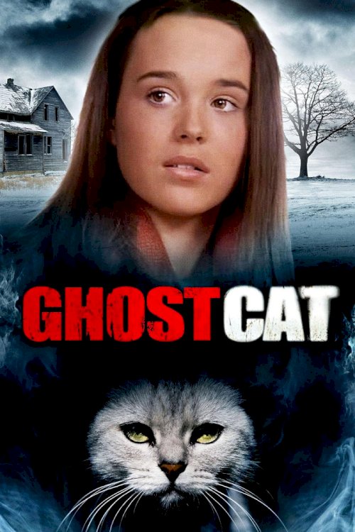 Mrs. Ashboro's Cat Mrs. Ashboro's Cat