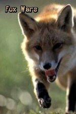 Fox Wars Fox Wars