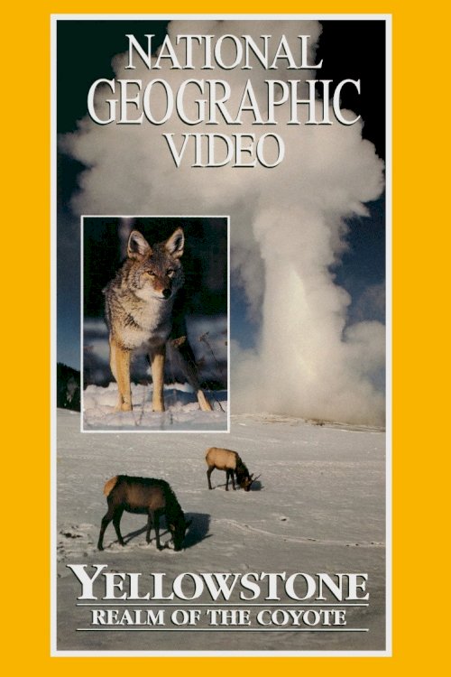 Yellowstone: Realm of the Coyote Yellowstone: Realm of the Coyote
