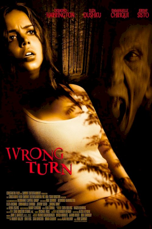 Wrong Turn Wrong Turn