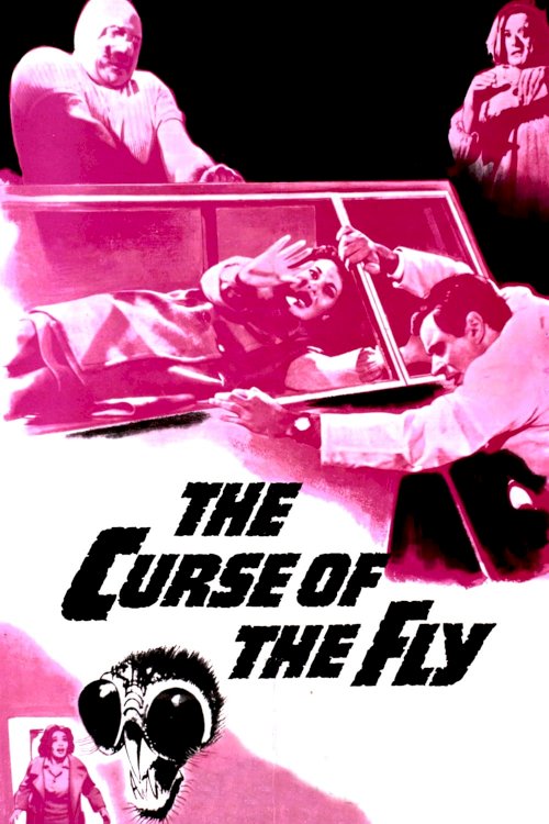 Curse of the Fly Curse of the Fly
