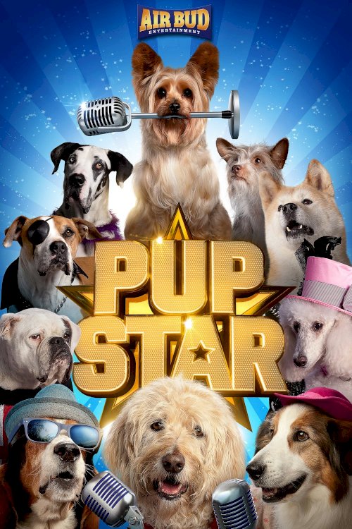 Pup Star Pup Star