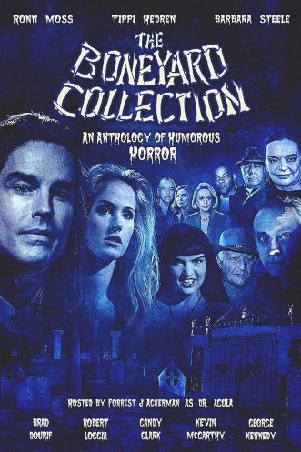 The Boneyard Collection The Boneyard Collection