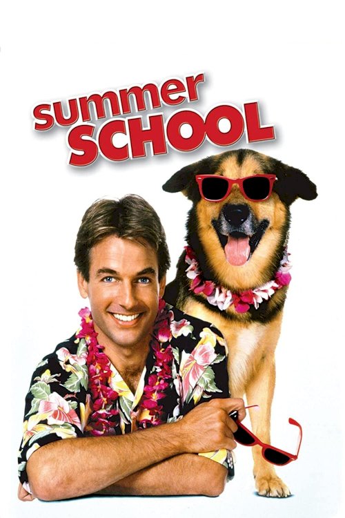 Summer School Summer School