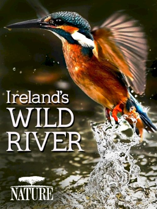 Ireland's Wild River Ireland's Wild River