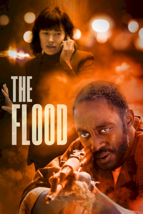 The Flood The Flood